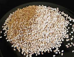 Manufacturers Exporters and Wholesale Suppliers of Sesame Seed Ahmedabad Gujarat